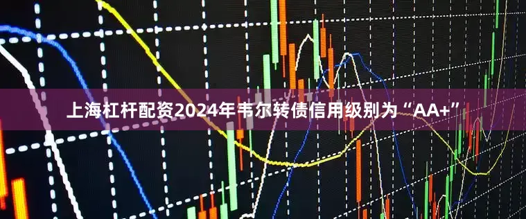 上海杠杆配资2024年韦尔转债信用级别为“AA+”