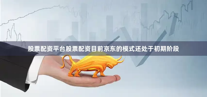 股票配资平台股票配资目前京东的模式还处于初期阶段