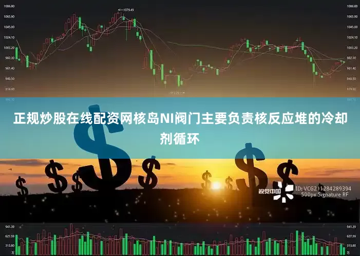正规炒股在线配资网核岛NI阀门主要负责核反应堆的冷却剂循环