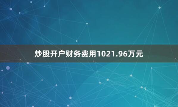 炒股开户财务费用1021.96万元