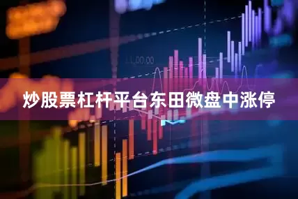 炒股票杠杆平台东田微盘中涨停