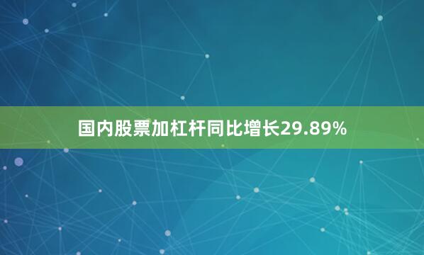 国内股票加杠杆同比增长29.89%