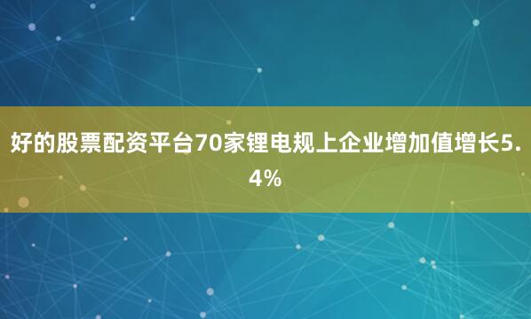 好的股票配资平台70家锂电规上企业增加值增长5.4%