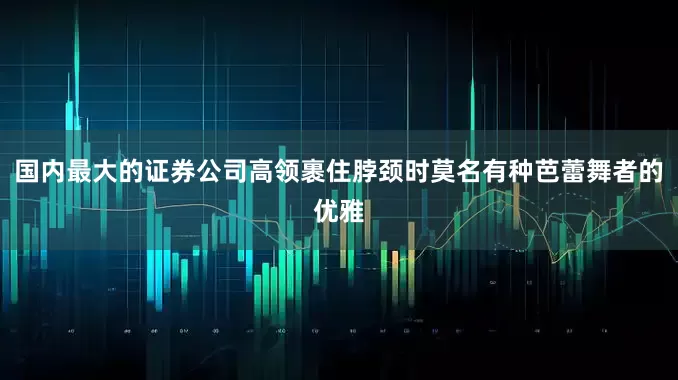 国内最大的证券公司高领裹住脖颈时莫名有种芭蕾舞者的优雅